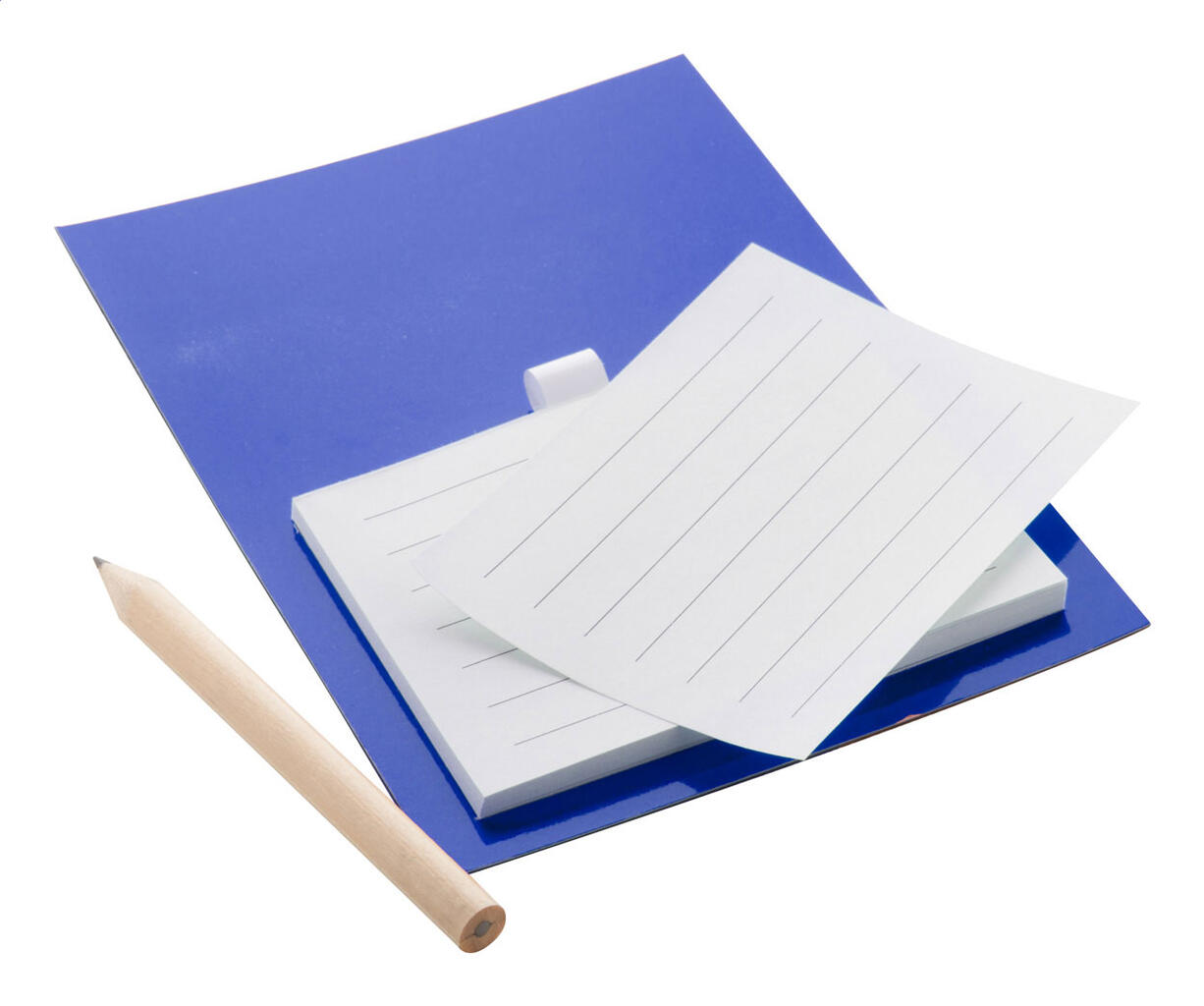 Promidžbeni blok Pecfri AP741511 blue 99×139 mm-1