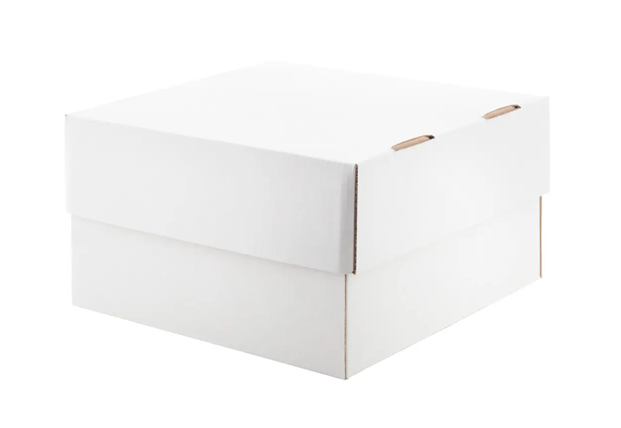 Poklon kutija CreaBox Gift Box Plus S AP716126 white-3