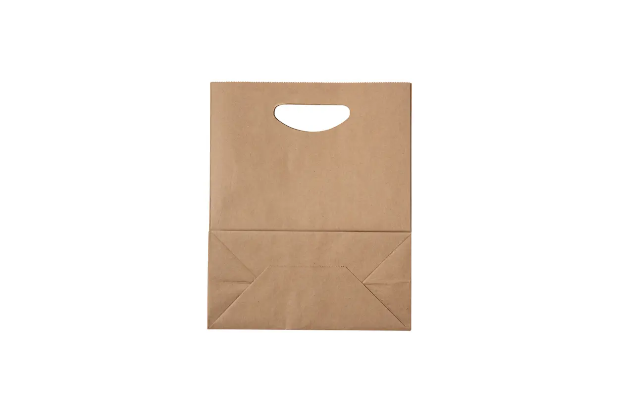 Papirnata torba Zelno AP722218 natural 220×270×110 mm-1