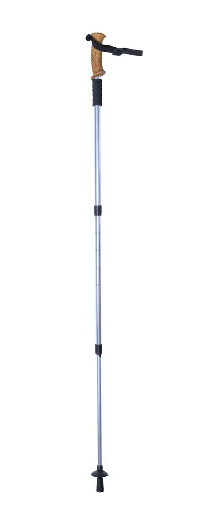 Nordijski štap za hodanje Sells AP722502 silver 1350 mm-7