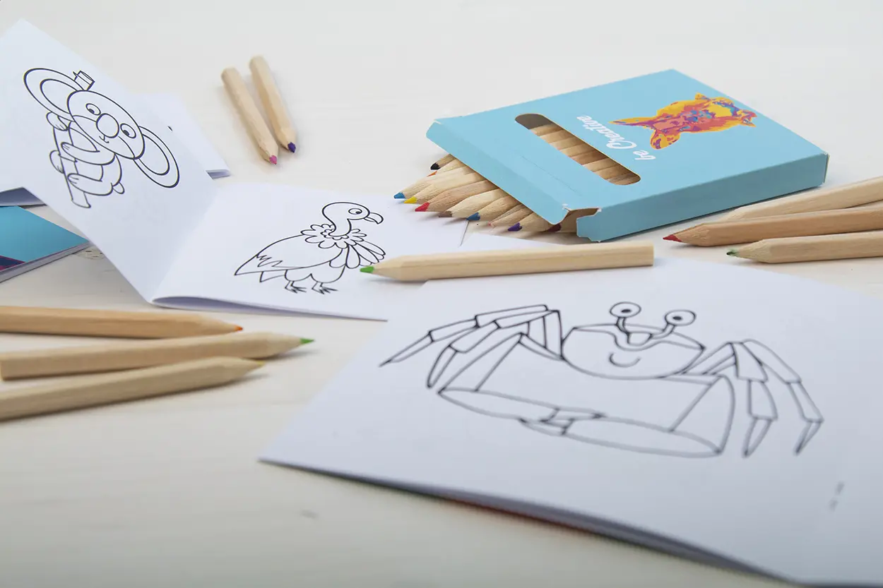 Set za bojanje CUSTOM MADE Coloxil 12 AP716554 white-8