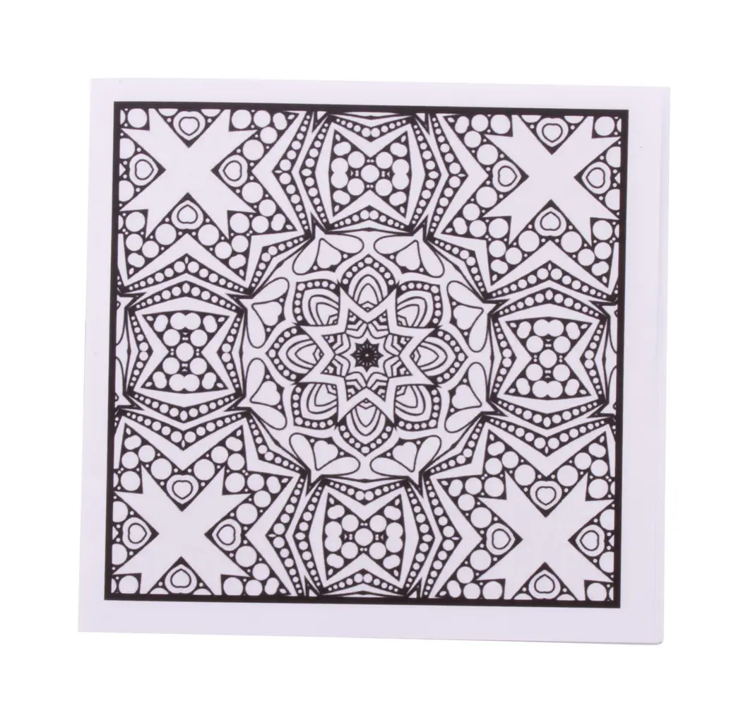 Set za bojanje CUSTOM MADE Coloxil 12 AP716554 white-1