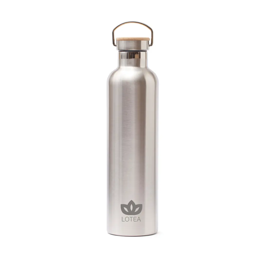 Termosica VINGA Miles 1000 ml V505 steel-3
