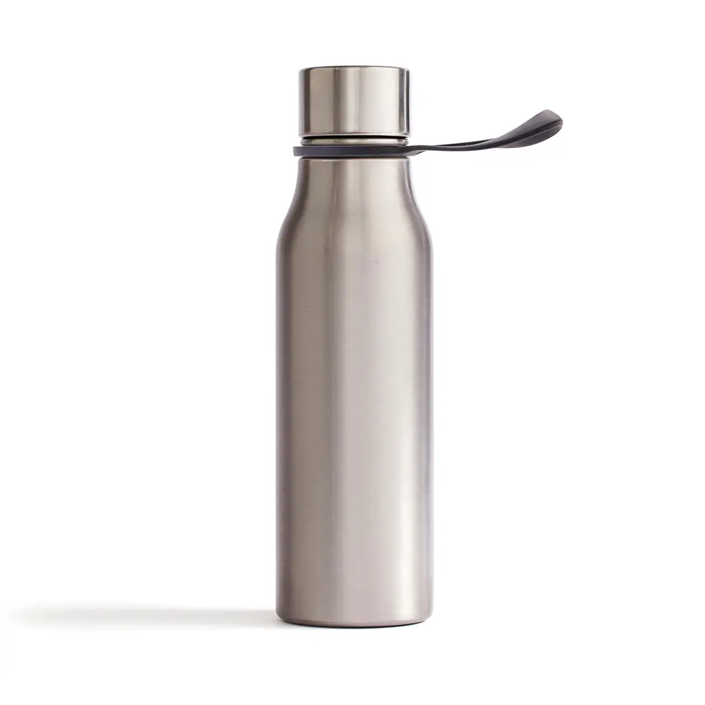 Termosica VINGA Lean V5095 silver grey-1