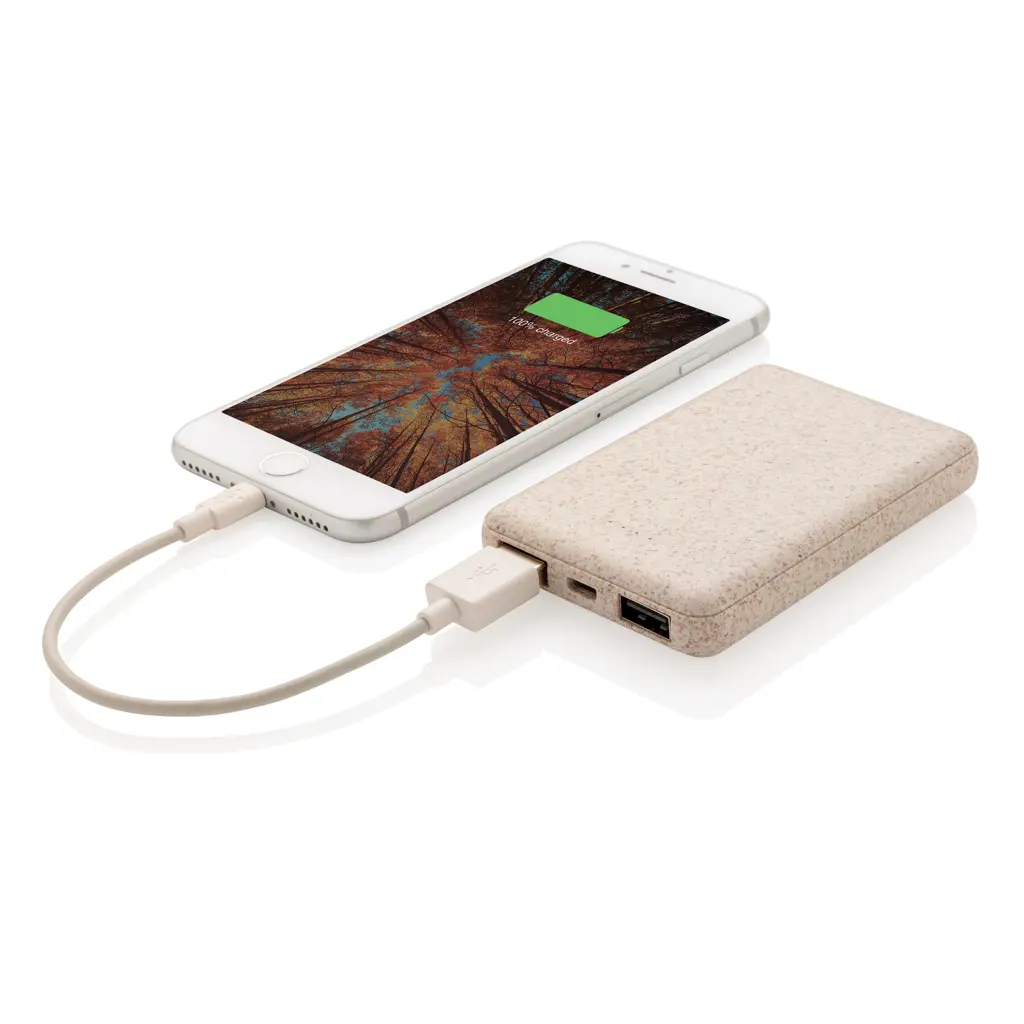 Power bank 5.000 mAh P322.13 khaki-2