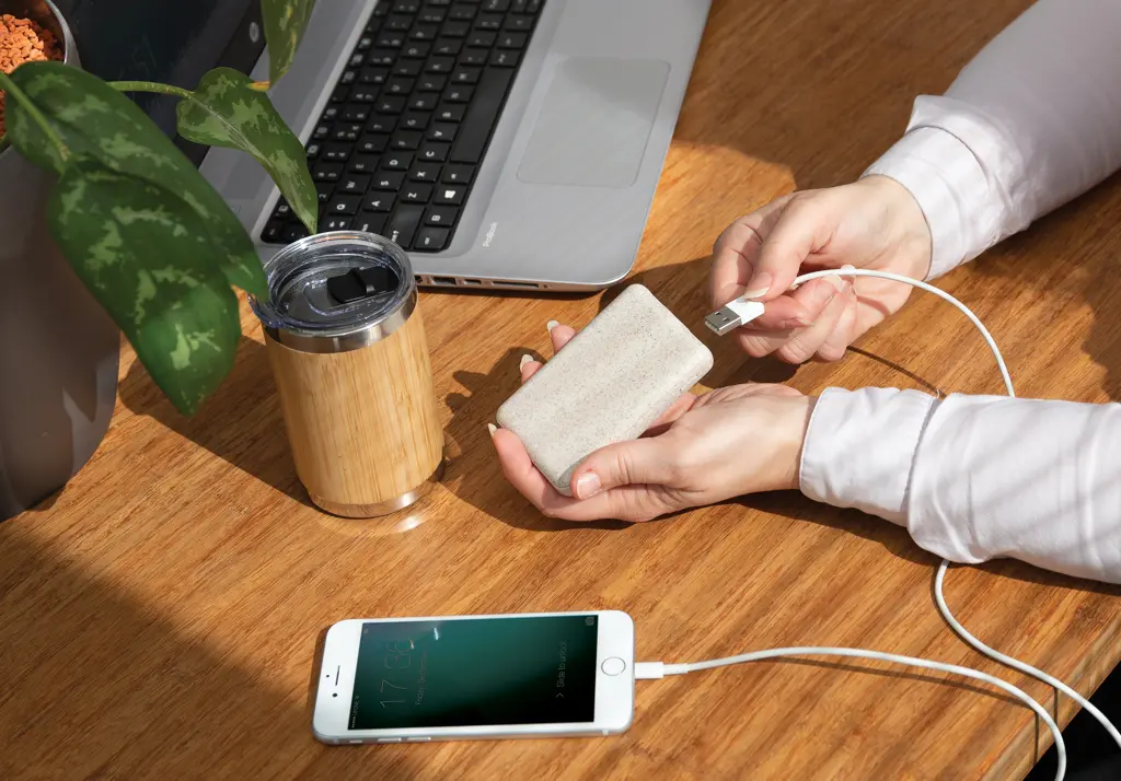 Power bank 5.000 mAh P322.13 khaki-9