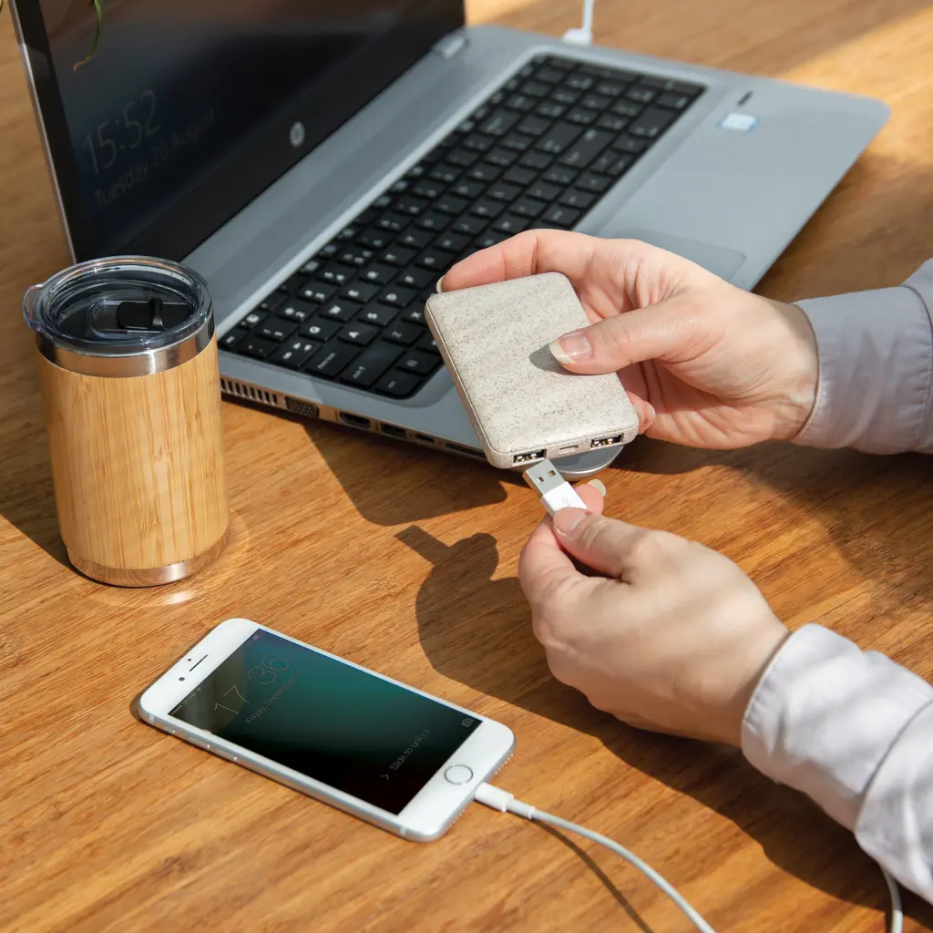 Power bank 5.000 mAh P322.13 khaki-10