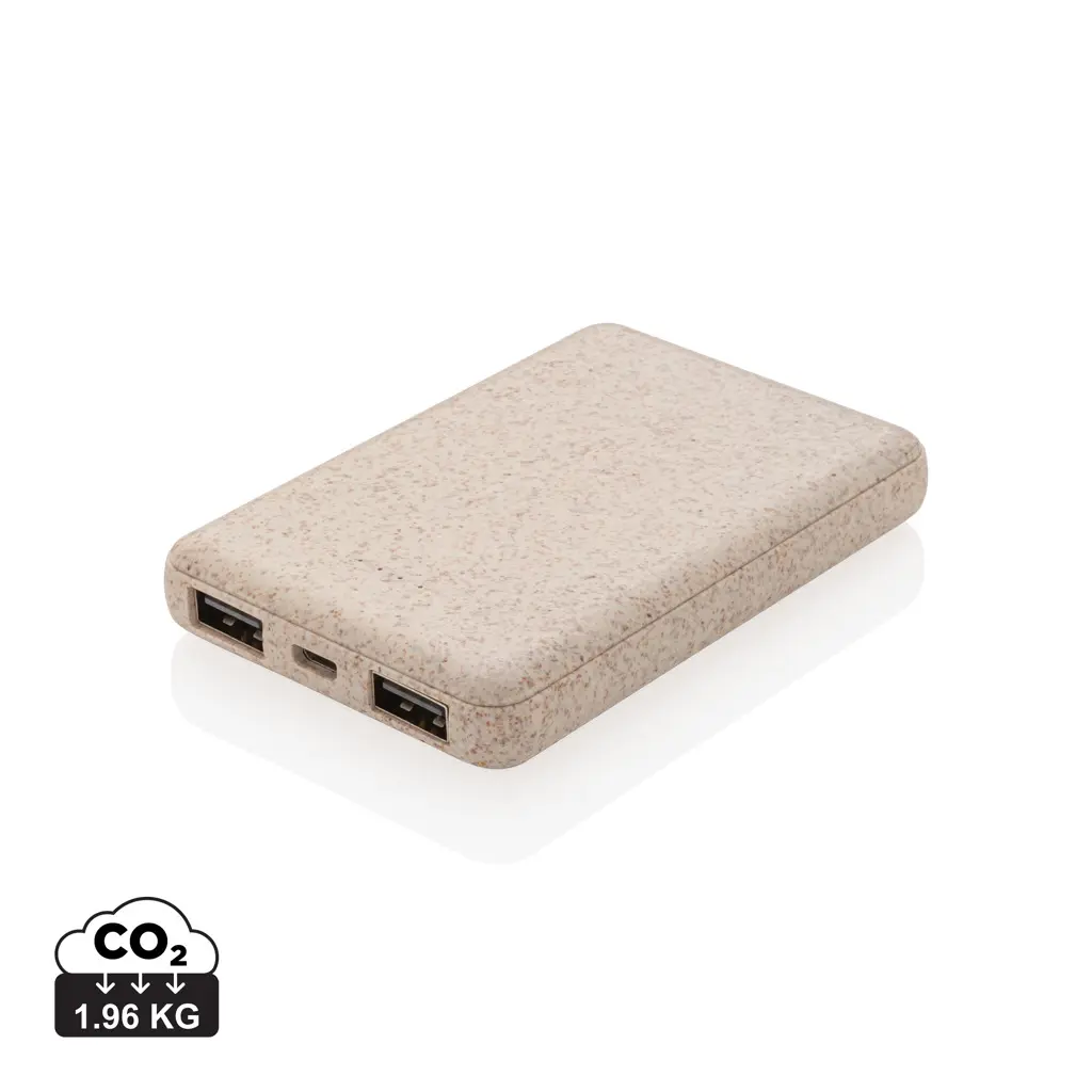 Power bank 5.000 mAh P322.13 khaki-0