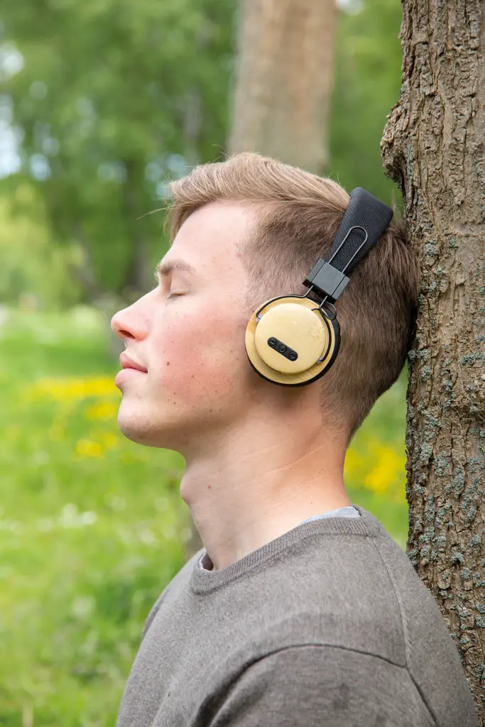 Bežične slušalice od bambusa P329.16 brown-9
