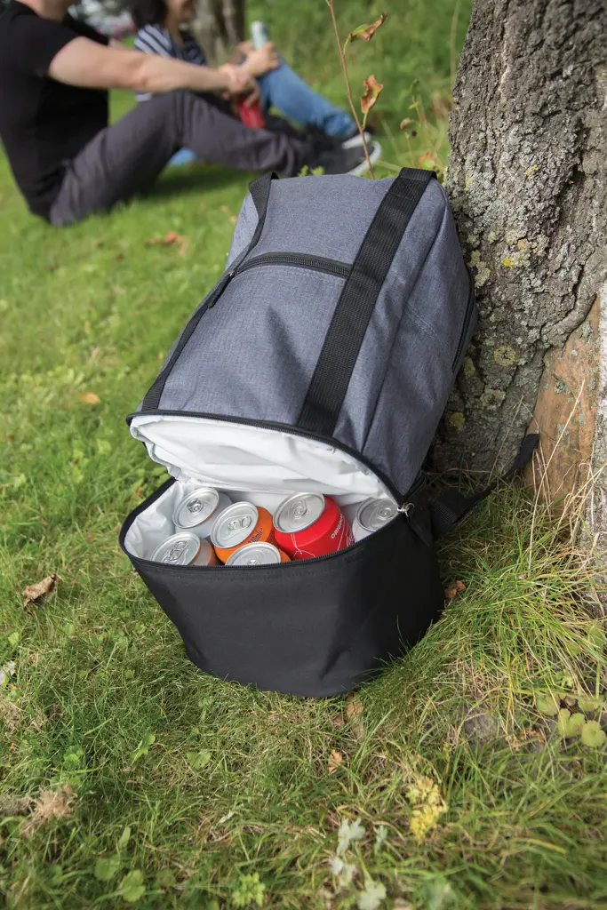 Rashladni ruksak i torba 3 u 1 P422.09 grey-8