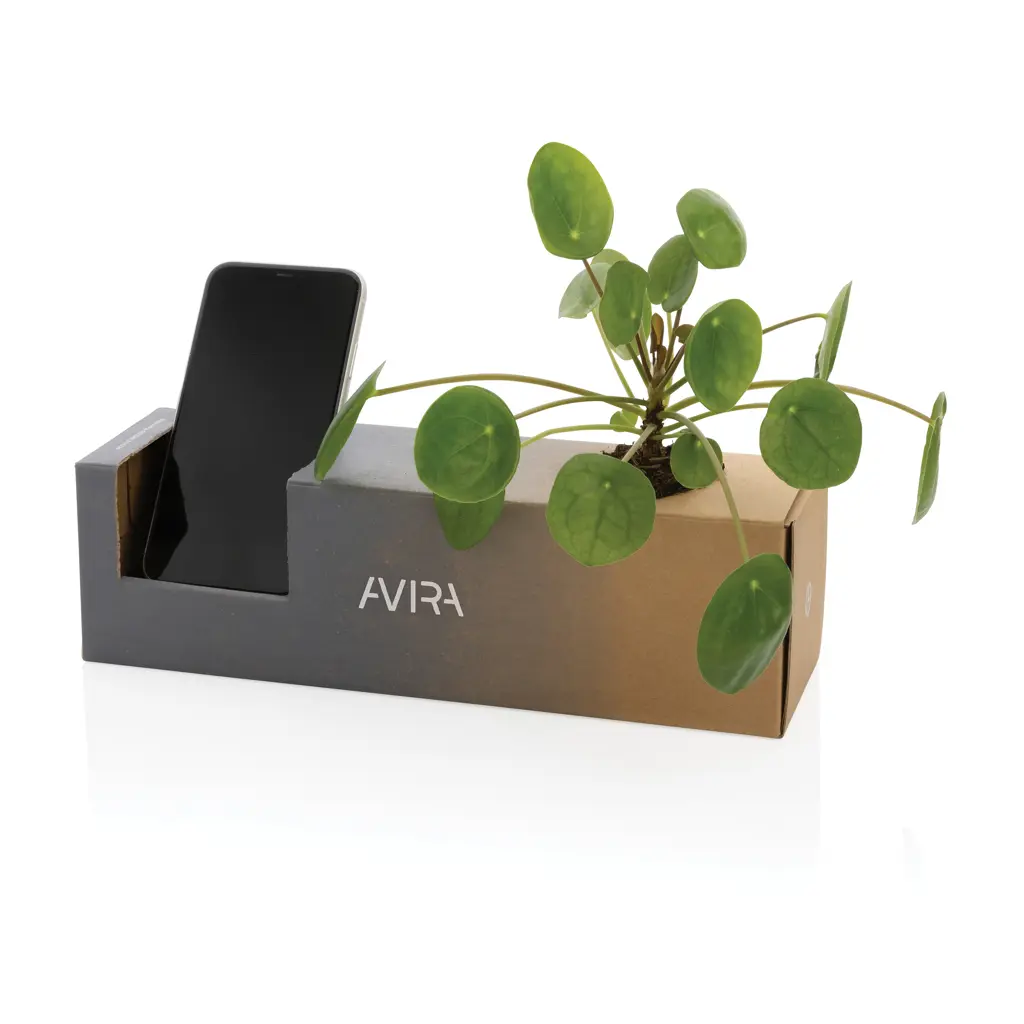 Boca od nehrđajućeg čelika 1L Avira Avior RCS P438.01 black-19