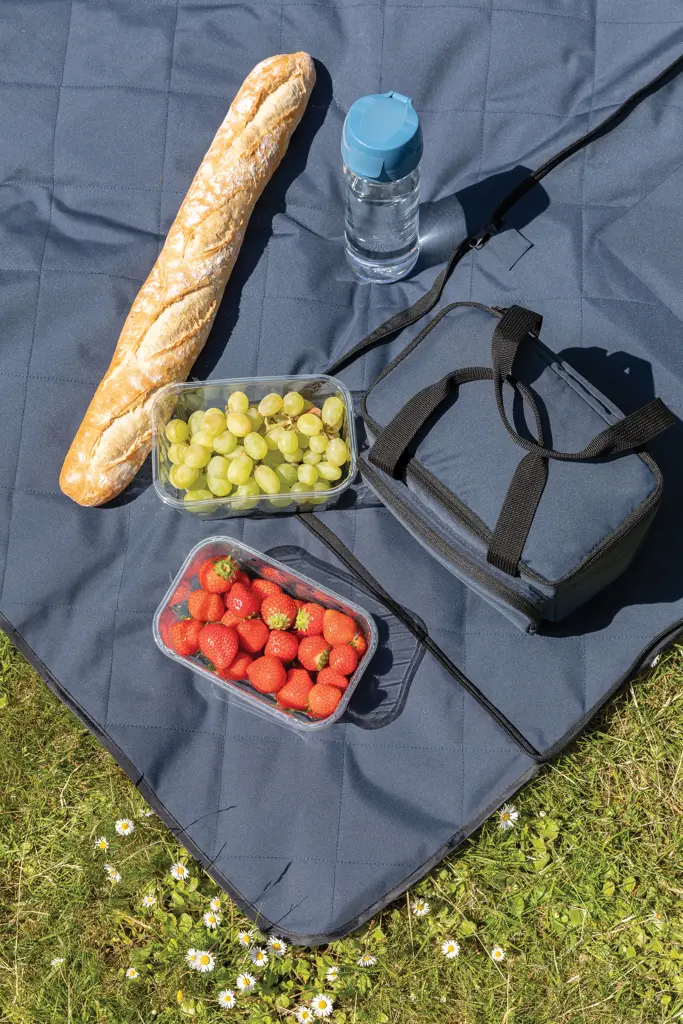 Deka za piknik Impact Aware™ RPET P459.12 navy-9