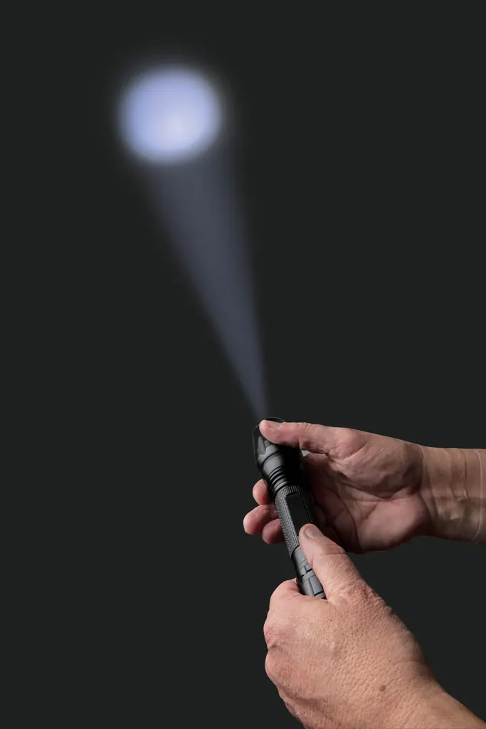 10W CREE svjetiljka za teške uvjete rada P513.43 black-14
