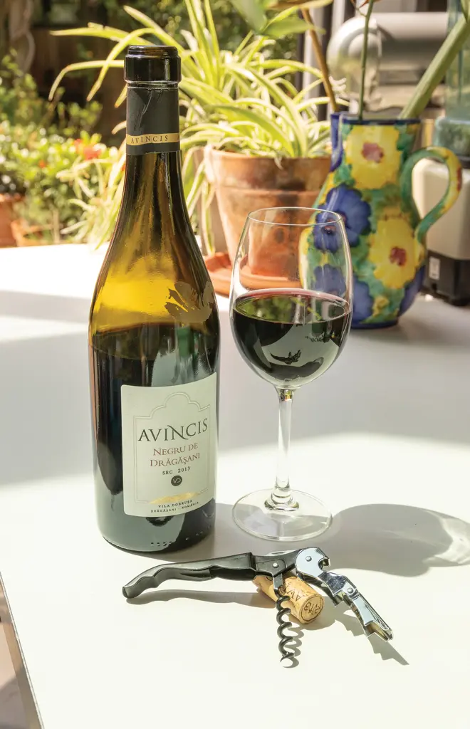 Vadičep Vino Waiters P911.05 black-8