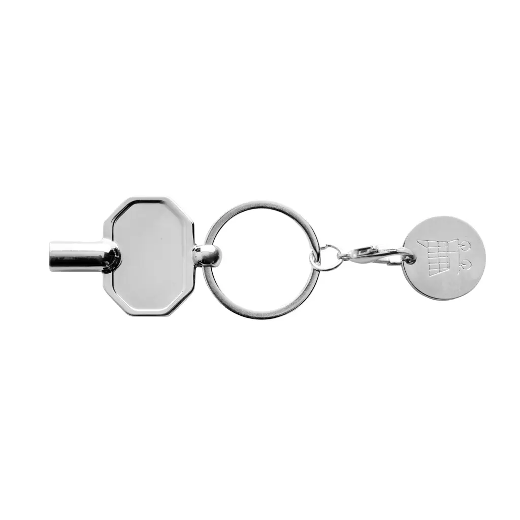 Privjesak za ključeve s novčićem P191.70 silver-1