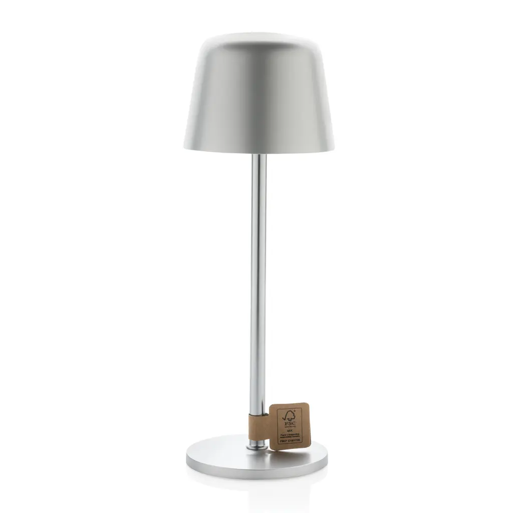 USB stolna lampa Zenic RCS P513.97 silver-2