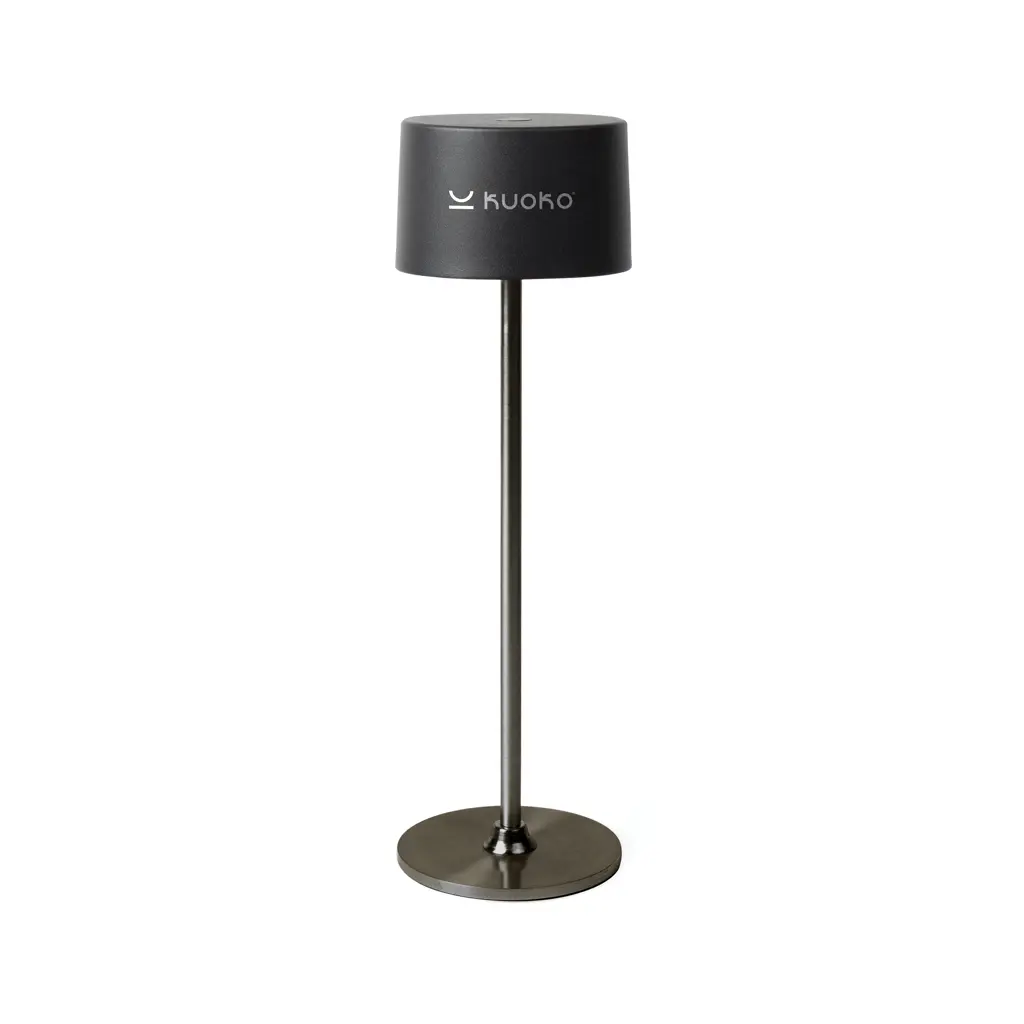Stolna svjetiljka VINGA Nauro RCS V51301 anthracite-3
