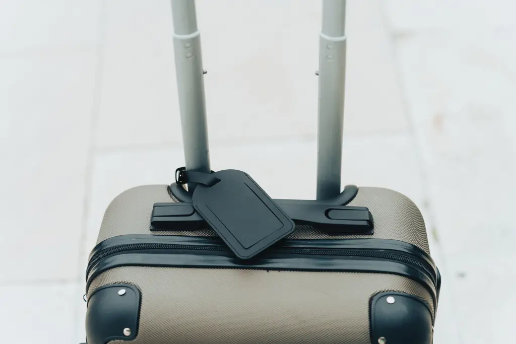 Privjesak za prtljagu Globetrack RCS P301.55 black-10