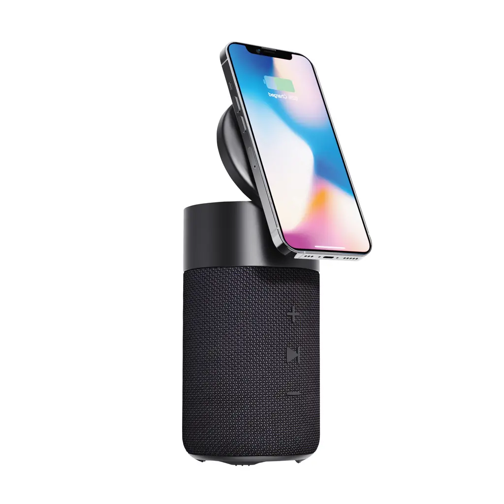 Zvučnik 10 W i punjač od 15 W Urban Vitamin Anaheim P331.58 black-4