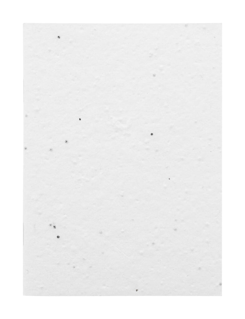 Bilježnica CUSTOM MADE CreaNote A6 Seed AP716880 white 105×146×4 mm-2