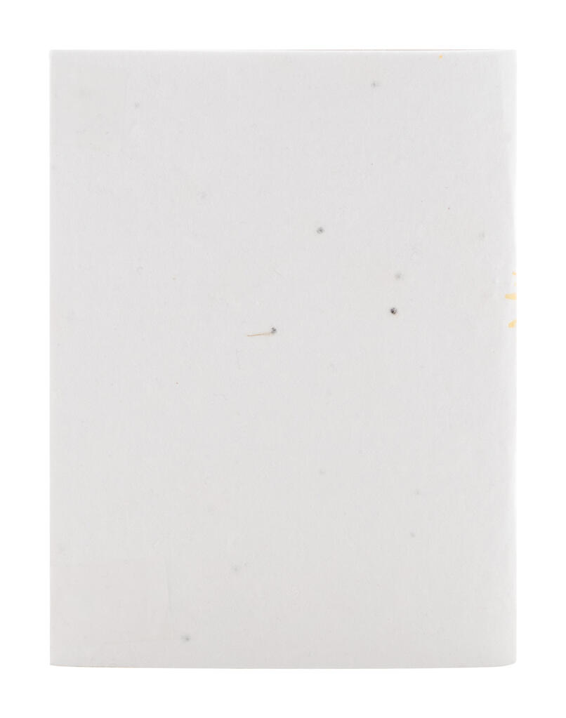 Bilježnica CUSTOM MADE CreaNote Plus A6 Seed AP716881 white 105×146×4 mm-5