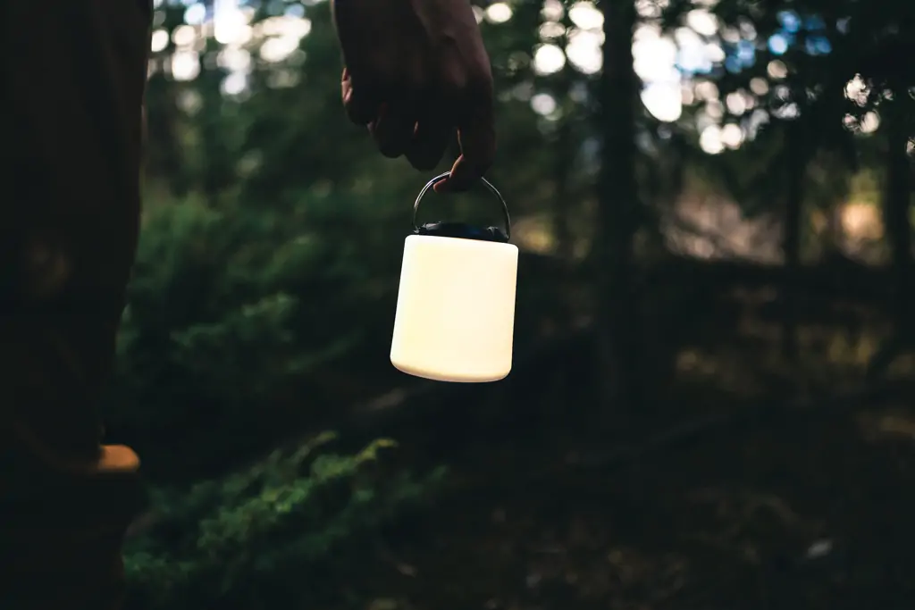 Limio stolna lampa P513.50 white-14 Limio stolna lampa P513.50 white-14