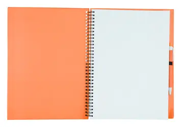 Rokovnik Tadil AP741502 orange 210×290 mm-1