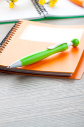 Kemijska olovka Gallery AP761544