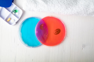 Termofor Relief AP781012 blue ø100×10 mm-1