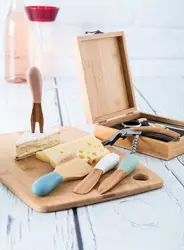 Set noževa za sir Boursin AP800389 multicolour-7