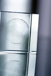Stakleni kocka Tampa AP808806 transparent-5