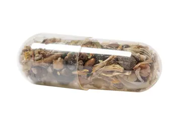 Kapsula sjemena cvijeća Flocca AP722147 natural 55×66×14 mm-1