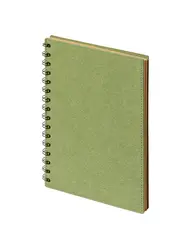 Rokovnik Biloba AP722176 green 145×210×10 mm-1