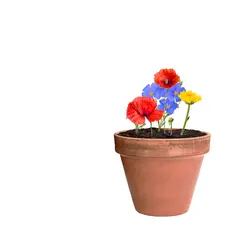 Loptica sa sjemenkama Flobba AP722388 natural 44×91×30 mm-4