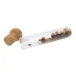 Cjedilo za čaj Ceylon AP722832 transparent ø29×133 mm-3
