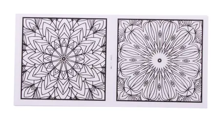Set za bojanje CUSTOM MADE Coloxil 12 AP716554 white-2