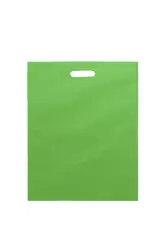 RPET Torba za kupovinu Xeppy AP809527 green-1