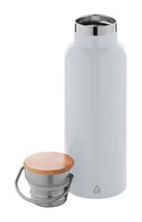 Termosica Renaslu AP808118