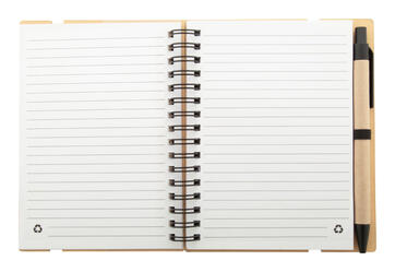 Rokovnik Reesy AP800771