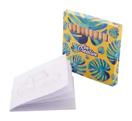Set za bojanje CUSTOM MADE Coloxil 12 AP716554