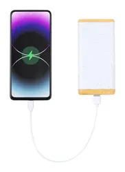 Power bank Coquin AP734272