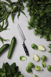 Santoku nož VINGA Kaiser V1653 steel-6