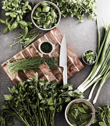 Kuharski nož VINGA Hattasan V1654 steel-4