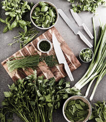 Kuharski nož VINGA Hattasan V1654 steel-5