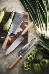 Santoku nož VINGA Hattasan Damascus V16550 steel-5