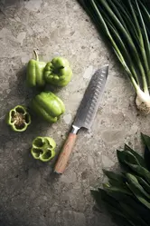 Santoku nož VINGA Hattasan Damascus V16550 steel-6