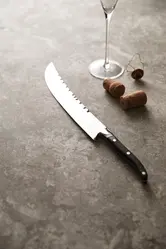 Nož za otvaranje šampanjca Gigaro VINGA V30770 steel-4
