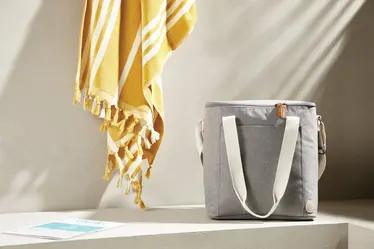 Velika rashladna torba Sortino VINGA V5131 grey-10