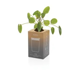 Čaša od nehrđajućeg čelika 300 ml Avira Alya RCS P438.02 navy-16