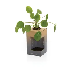 Čaša od nehrđajućeg čelika 300 ml Avira Alya RCS P438.02 black-18